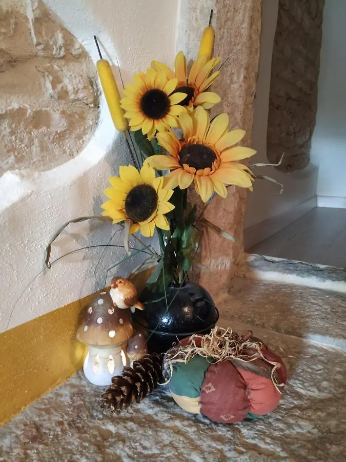 Dolci Vecchi Ricordi In Valpolicella Apartment Negrar