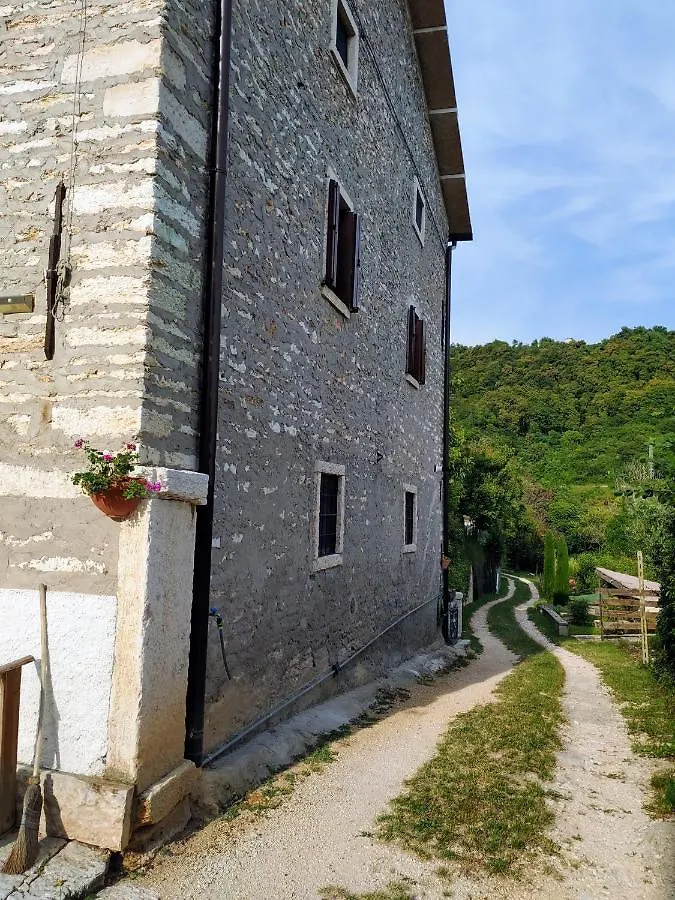 Dolci Vecchi Ricordi In Valpolicella Apartment Negrar Italy