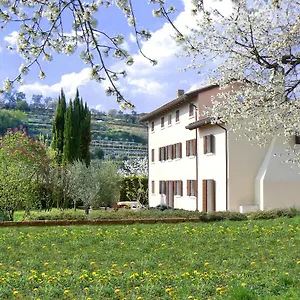 Il Pettirosso Negrar